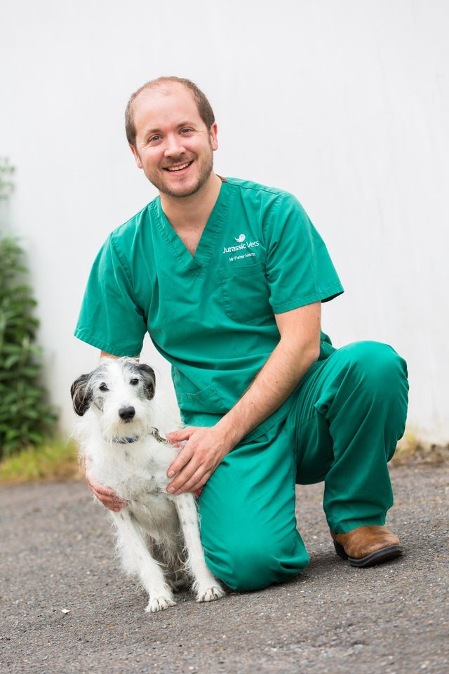 Meet the Team Vets in Sidmouth Jurassic Vets Vets in Colyton